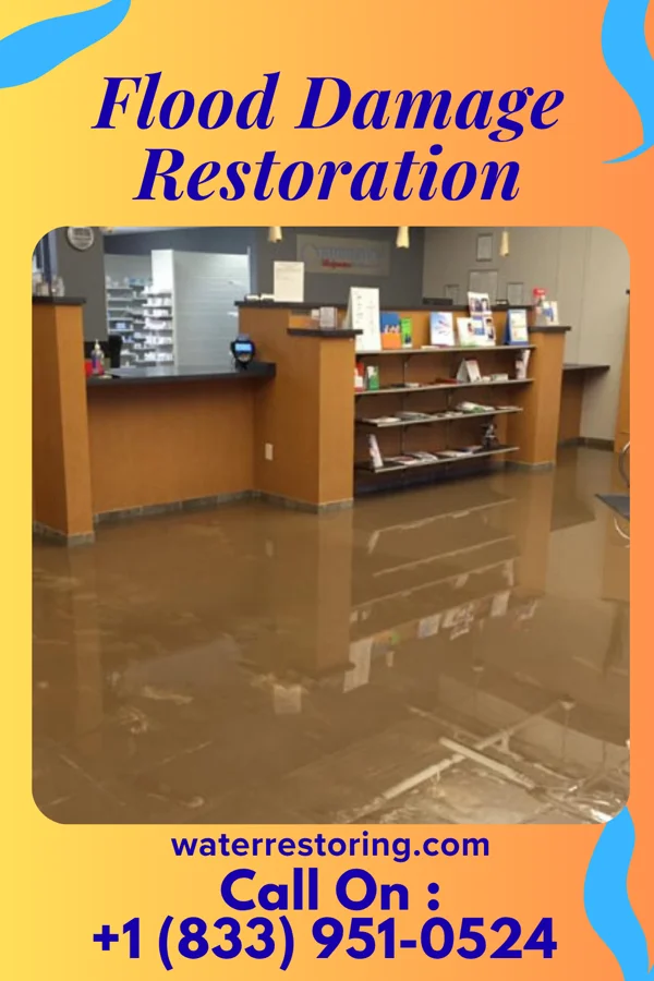 Flood Damage Restoration in Poulsbo, WA