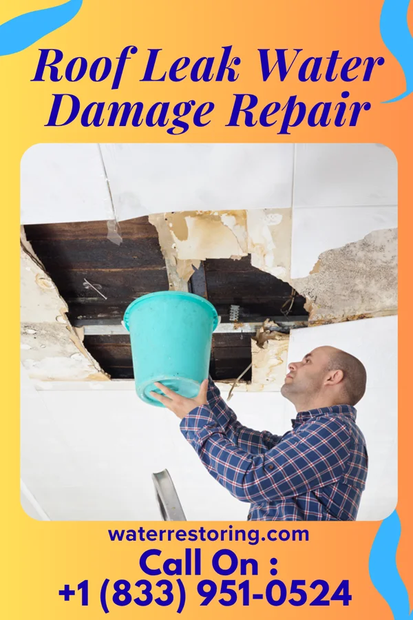 Roof Leak Water Damage Repair in Poulsbo, WA