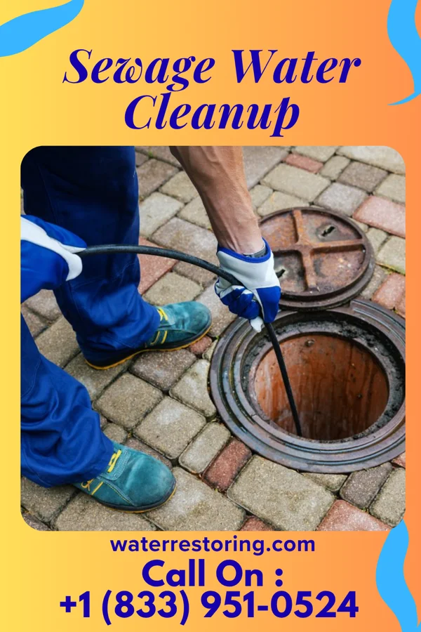 Sewage Water Cleanup in Poulsbo, WA