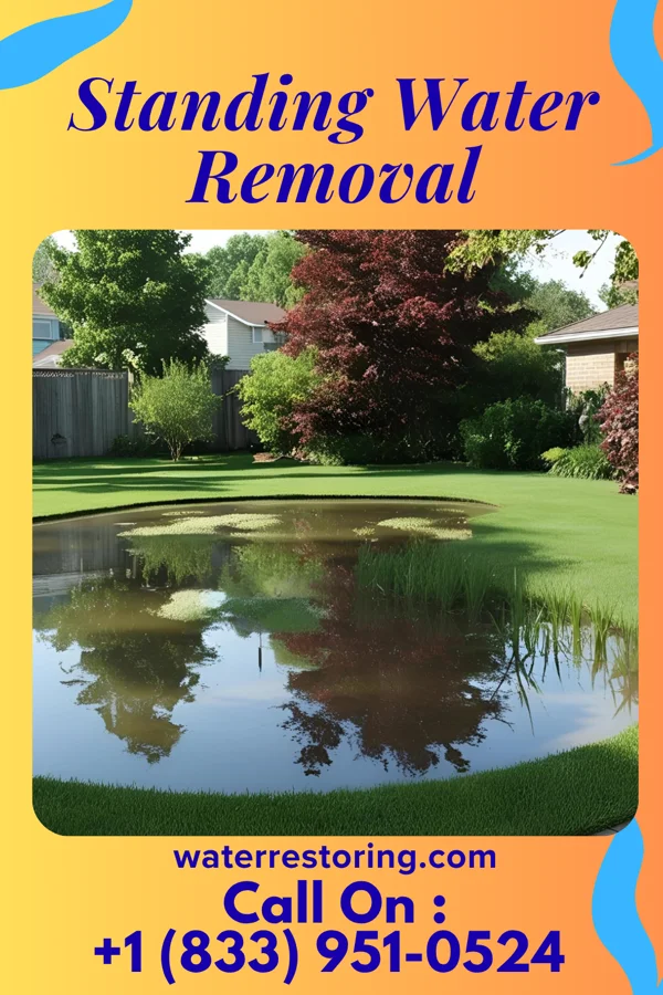 Standing Water Removal in Poulsbo, WA